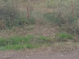 Teren intravilan cu PUZ in Cisnadioara