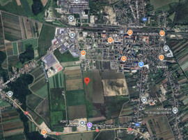 Oportunitate investitie: teren 19000 mp (10000 mp 9000 mp)