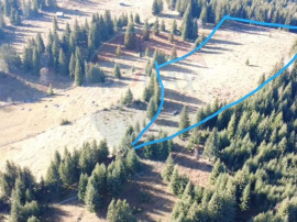 Teren 16,289mp Coverca / Drumul Bucinis