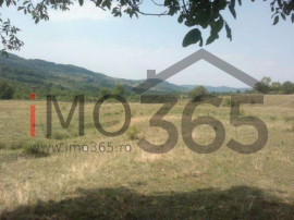 Teren 15 Hectare in sat | Mihaesti | Arges