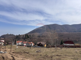 Teren 1,697mp Cisnadioara / Strada Silvicultorilor