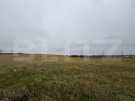 Teren intravilan 7665mp in Pricaz