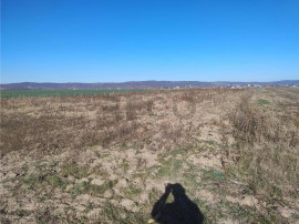 RECO Teren extravilan, centura Cheriu