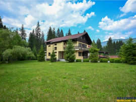 FILM!Resedinta cu farmec montan, domeniu de 1.700 mp,cadru s