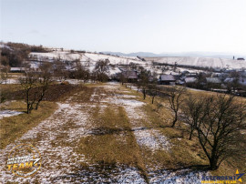 Film! Domeniu de 2.819 mp, cu casa, Mereni, Covasna.