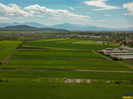 FILM! Teren extravilan 5.000 mp in zona linistita cu acces f