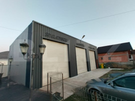 Hala de inchiriat, pretabil afacere, Lechinta