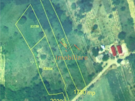 TEREN EXTRAVILAN | 2939MP | UILEACUL DE CRIS | BIHOR