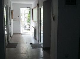 Theodor Pallady 300 mp