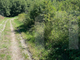 Teren de vanzare in zona Casele Micesti