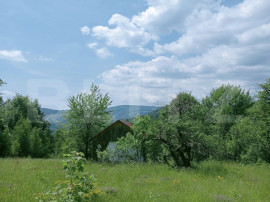 Teren intravilan de v&acirc;nzare, 30.121 mp, Tr&acirc;ncești, Scări