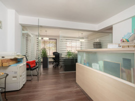 Vila birouri , locatie de exceptie