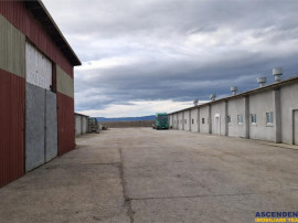 Hala industriala versatila,spatii cazare, platforma betonata
