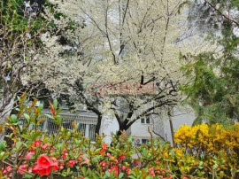 Bulevardul Obregia - Piața Sudului - 3 camere - centrală,