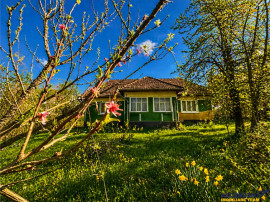 Casa traditionala,zona pitoreasca,domeniu de 3.400 mp,Suveic