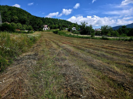 Teren 600mp Viisoara / Strada Primaverii