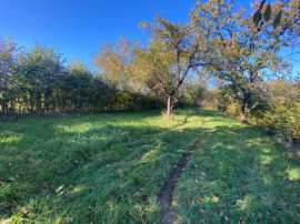 Teren extravilan 3200mp zona Tropinii Vechi