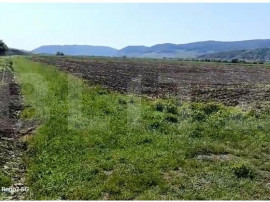 Teren 25 ari, zona agricola, l&acirc;ngă Parcul Industrial Prism
