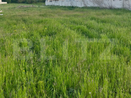 Teren intravilan, 700 mp, zona Mihai Viteazu