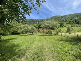 Teren in Pianu de Sus, 4400 mp