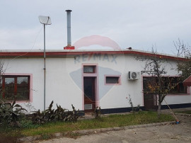 Hală Bujac compartimentată. 676 mp , teren 1700 mp.