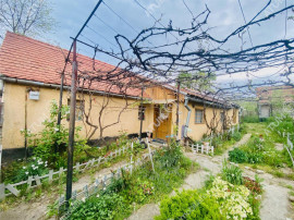 Casa individuala cu 2500 mp teren in Rusi langa Sibiu