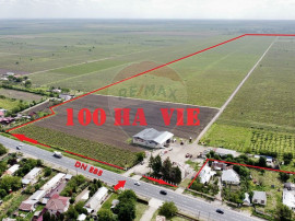 Teren vie 100 hectare la DN E85