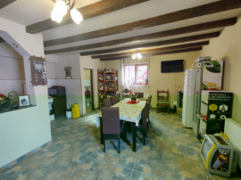 Casa/ case de vanzare in Valea Doftanei- oportunitate afacer