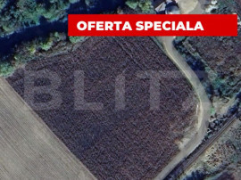 Teren extravilan cu potential ridicat, 10.000 mp, zona Blaj