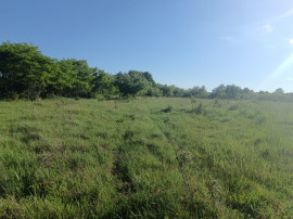 Busag, 45 ari teren intrav.