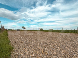 Oportunitate Investiție - Teren extravilan, 5000mp, 20 ml -