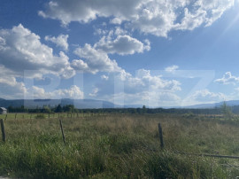 V&acirc;nzare teren 3850 mp Panaci