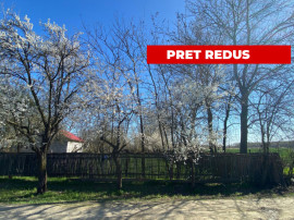 Teren 4975 mp situat in intravilanul satului Belciug, Dragan