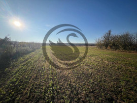 Teren intravilan de vanzare | 12.650 mp | Ghirdoveni, | C...