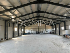 Hală industrială NOUĂ &icirc;n Bălești, la 5 km de Tg.Jiu