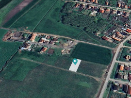 Loc de casa de 507 mp &icirc;n Livada