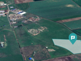 Teren intravilan de 26,606mp Sacalaz