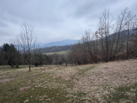 6000 MP teren intravilan, sat Bistrita, 9 Eur/MP