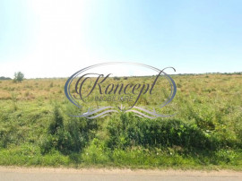 Teren intravilan in Salicea