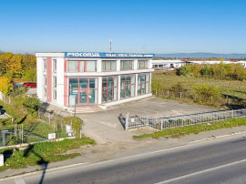 Sediu Firma - Showroom