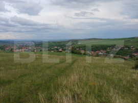 Teren extravilan 1248 mp in Copaceni! Oportunitate investiti
