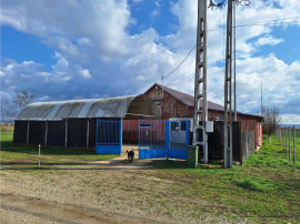 Reco, Casa si Hala industriala Sabolciu