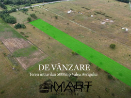 Teren intravilan 5000mp Valea Avrigului