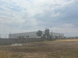 Teren extravilan 5000 mp, zona Pielesti