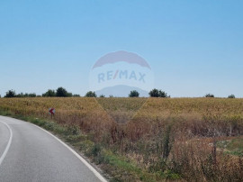 Teren 16.083 mp de v&acirc;nzare &ndash; Sinești, sat Lilieci, Sl...