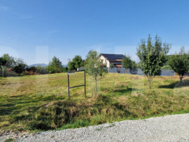 Teren de vanzare 925 mp, zona Valea Jelnei