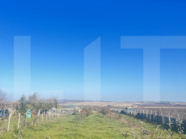 DE V&Acirc;NZARE &mdash; Teren Intravilan | Botoșani, Orășeni Deal