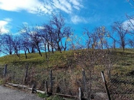 Teren cota parte 1/2, Sat Vistieru, ID: R2809860