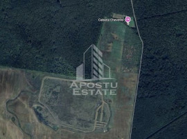 Teren 27000 mp, ideal centru seniori,liziera padurii, Che...