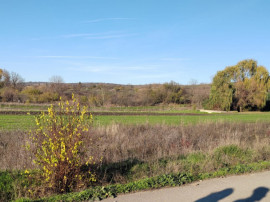 EXCLUSIVITATE -Teren Simnicul de Sus - 1000mp Intravilan